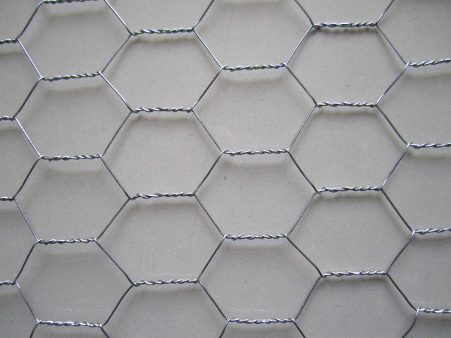Galvanized Hexagonal Wire Netting 25mm - 50mm Hole for Garden