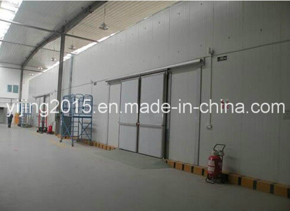 Fruit Vegetable Meat Fish Chicken Cold Room for Sale