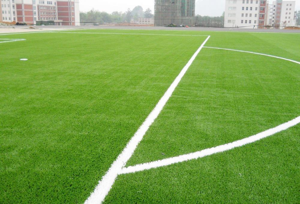 Artificial Grass, Football Grass, Soccer Grass (PD/SF55F1)