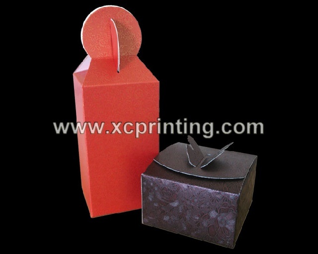 Special Shaped Gift Box (XC-3136)