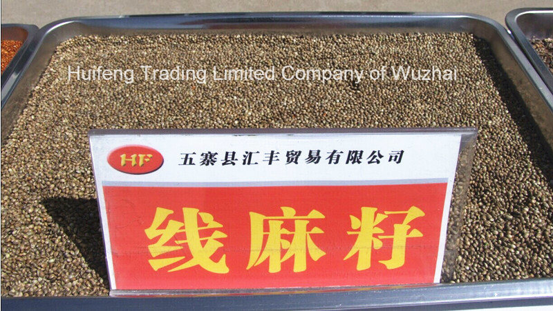 Good Hemp Seeds for Sale (Shanxi)