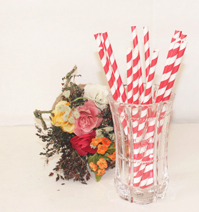 Red Striped Disposable Products Paper Drinking Straw