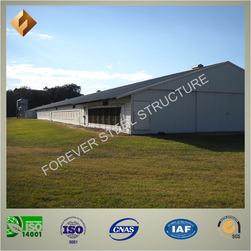 High Qualified Prefab Steel Structure Poultry House