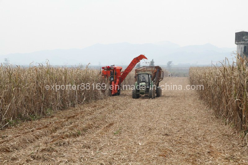 Sugarcane Harvester (4GQ-260)
