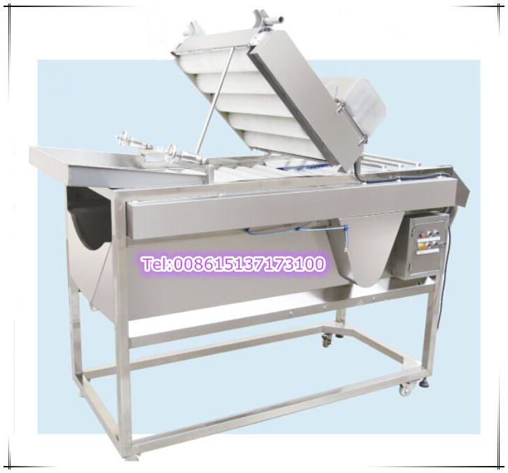 Double Layer Brush Vegetable Cleaning Machine