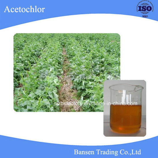 High Quality 93%Tc, 90%Ec, 40%Ew Acetochlor for Herbicide