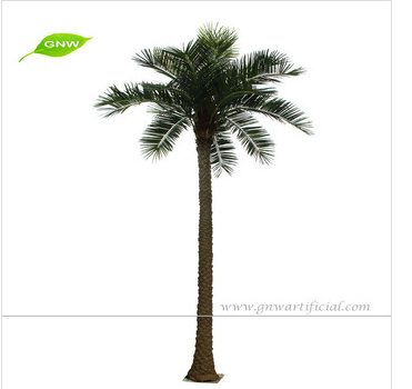 Artificial Coconut Palm Tree Artificial Decorative Tree for Sale (APM019 GNW)