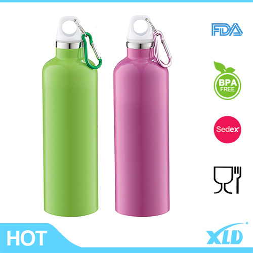 Stainless Steel Vacuum Sport Water Bottle with Handle