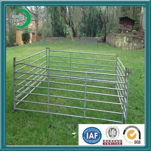 Galvanized Metal Livestock Farm Fence Panels for Horse (xy-L67)
