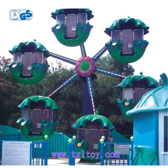 Amusement Ride (TX-917107)