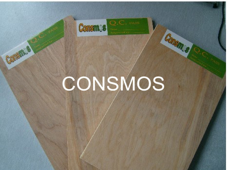 Birch Plywood For USA