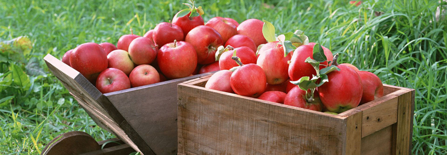 2014 Red & Sweet Apples