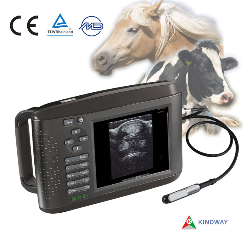 Portable Medical Ultrasound Equipment for Veterinary
