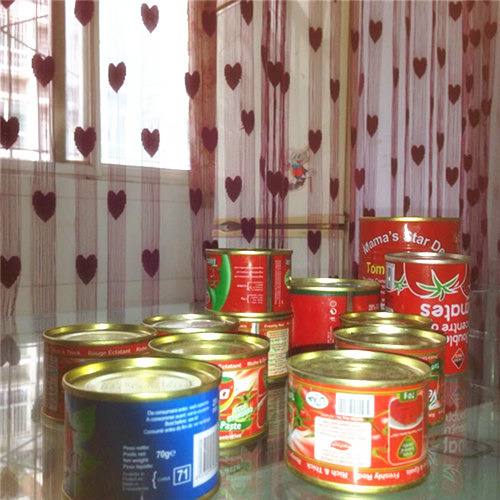 400g Canned Tomato Paste 28-30%, Tin with Easy Open Lid