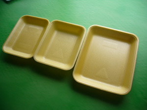 Disposable Tableware - 3