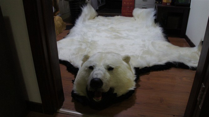Simulation Bear's Fur