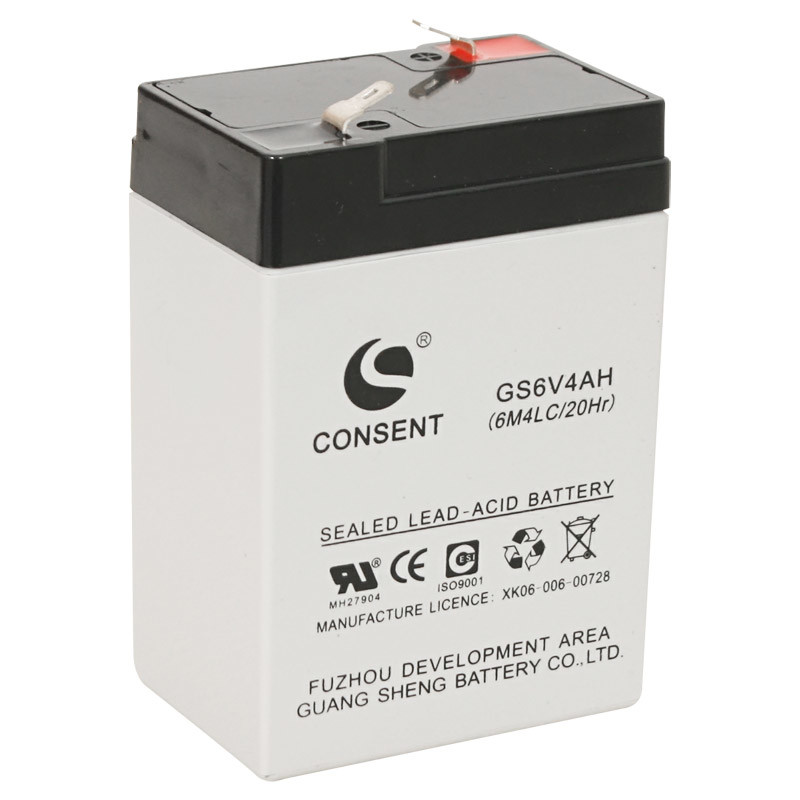 Lead Acid Battery (GS6V4AH)