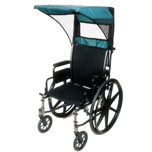 Wheelchair with Canopy