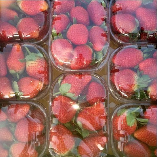 Fresh Red Strawberries for Sale 2015