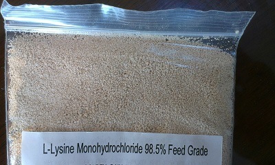 L-Lysine HCl 98.5% Feed Grade