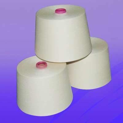 Polyester Spun Yarn for Sewing Thread (40/2)