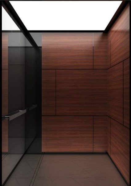 Modern Elegant Elevator for Apartment