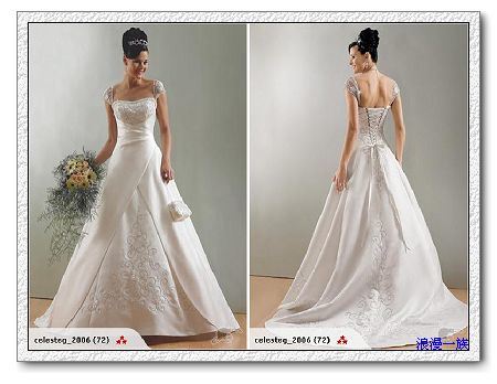 Wedding Dress & Wedding Gown&Evening Dress (HS-101)