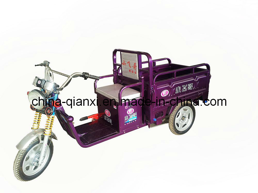 3 Wheel Electric Tricycle Qxsg504810