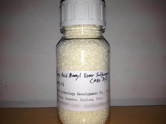 Sodium Fatty Acid Methyl Ester Sulfonate (MES 80%)