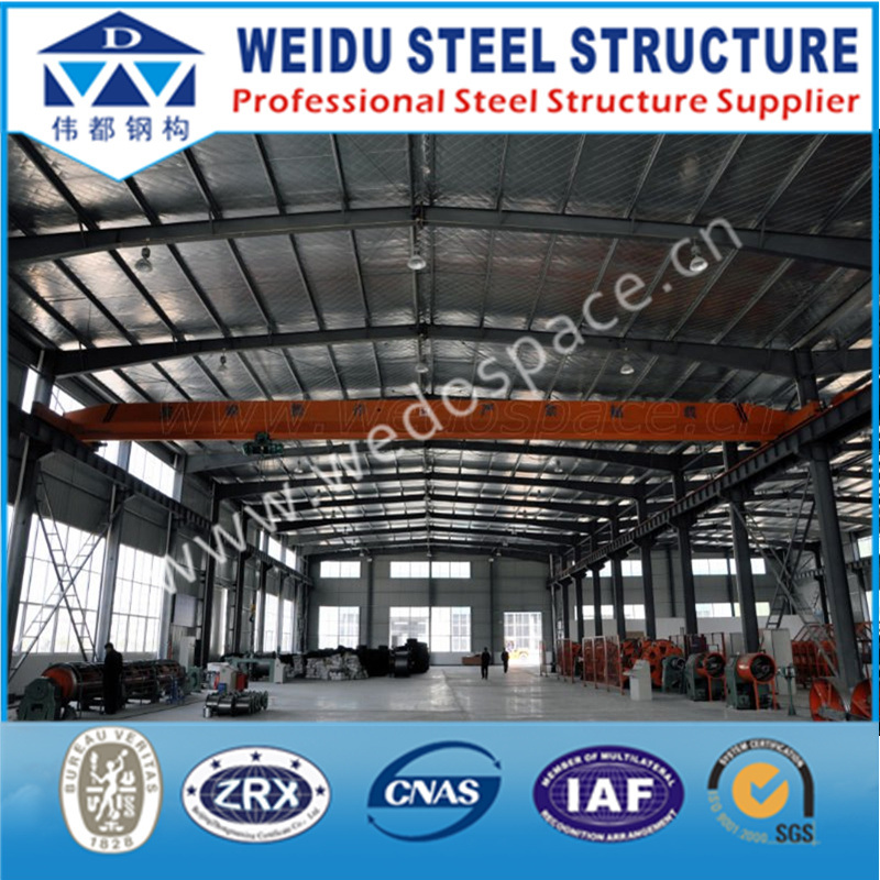 Wide Span Steel Structure (WD101818)