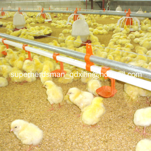 Full Set High Quality Automatic Poultry Equipment for Broiler