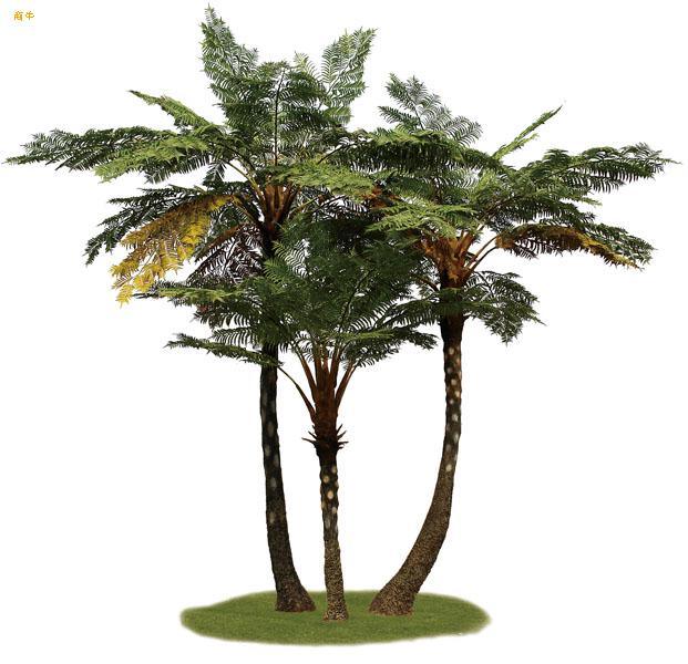 Wholesale Artificial Sala Palm Tree Made in China