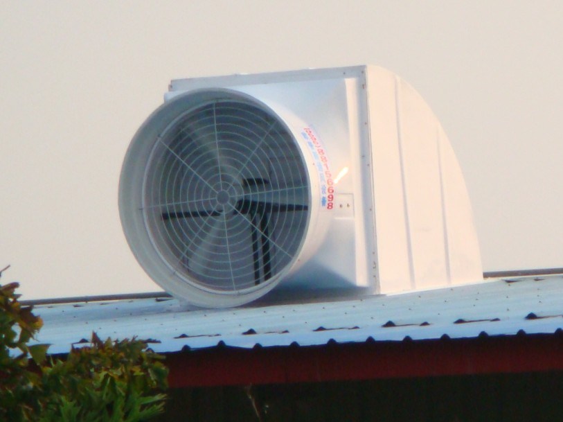 Roof Vents/ Industrial Roof Ventilation Fan/ Industrial Roof Exhaust Fan