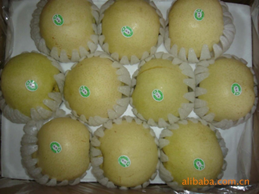 New Crop Exporting Standard Golden Pear