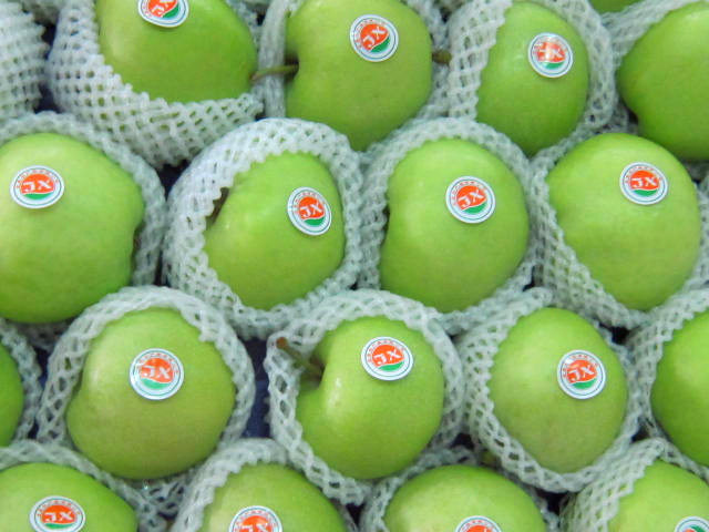 Fresh Green Gala Apple for Exporting