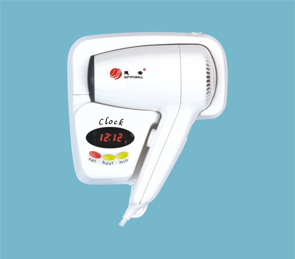 Wall Mounted Hair Dryer (RCY-67310)