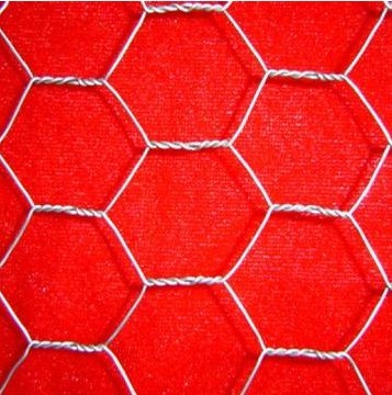 Hexagonal Wire Netting (DP-HWN1)