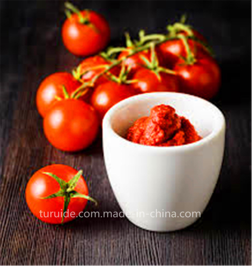 2014 Crop Tomato Paste Good Price in Drum