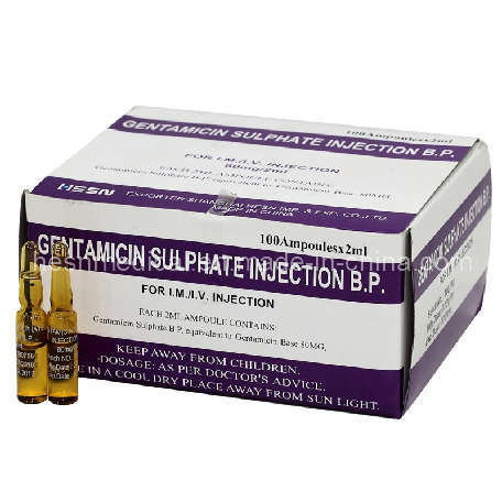 Gentamycin Sulfate Injection (HS-IN016)