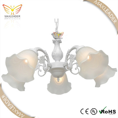 High Quality Chandelier for China Modern Lighting Fixture (MX9027)