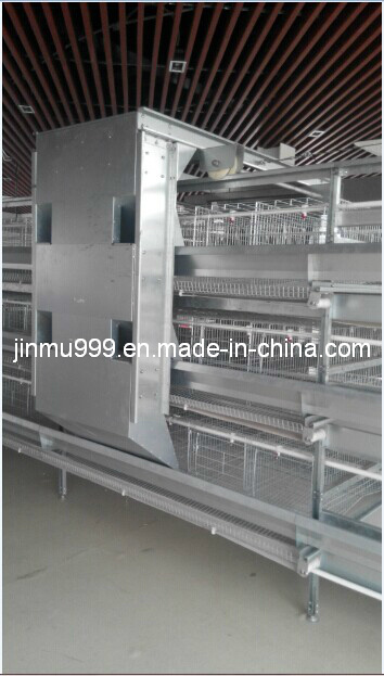 H Type Automatic Chicken Cage System for Poultry Farm