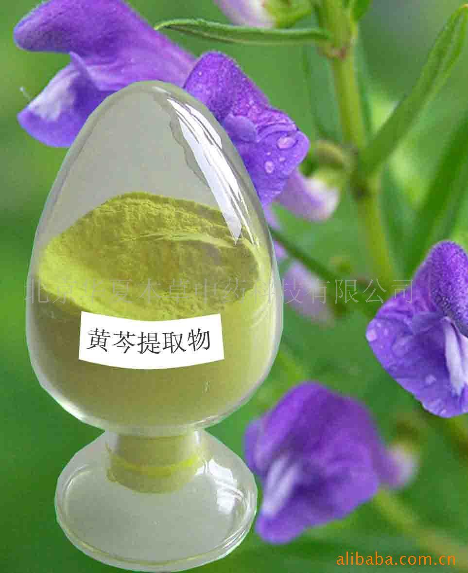 Baicalin, Plant Extract Powder, Granule