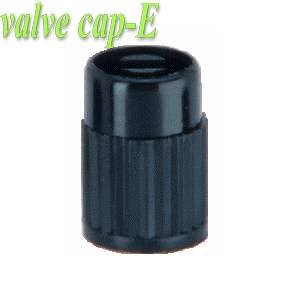 Plastic Valve Cap-E