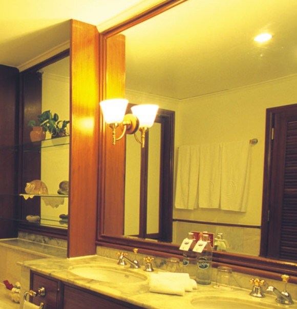 Heated Mirror With Stainless Steel Mirror (NRG3650)