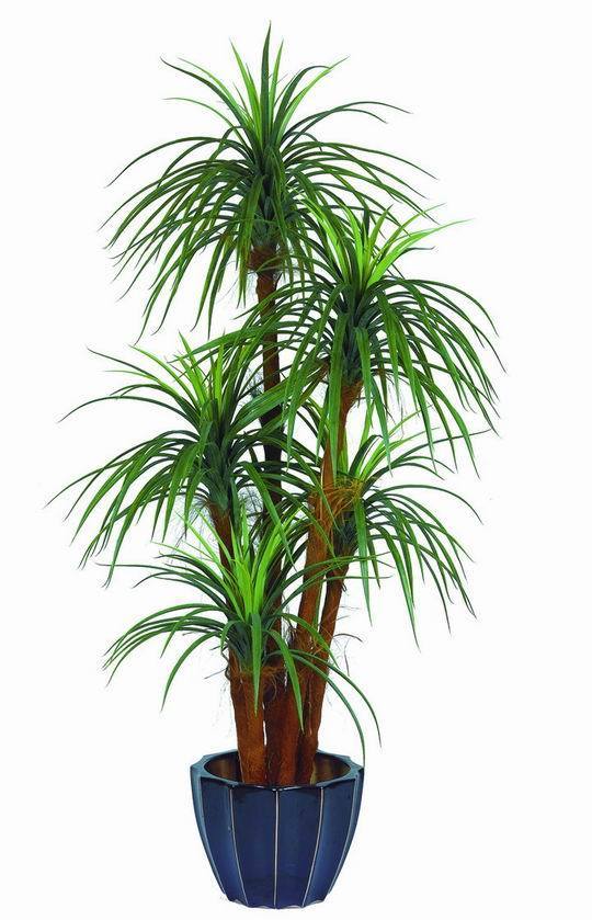 Best Selling Artificial Plants of Western Yucca