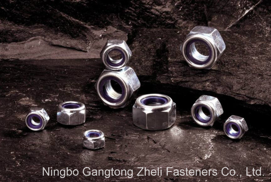 Nylon Lock Nuts DIN982 for Industry