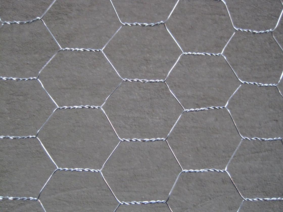 Chicken Poultry Wire Mesh Netting for Breeding