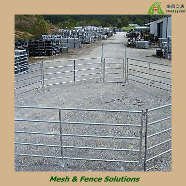 PVC Coated or Galvanized Pipe Livestock Fence