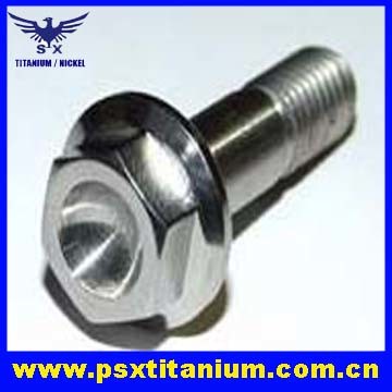 Titanium Fastener (PSX-021) 