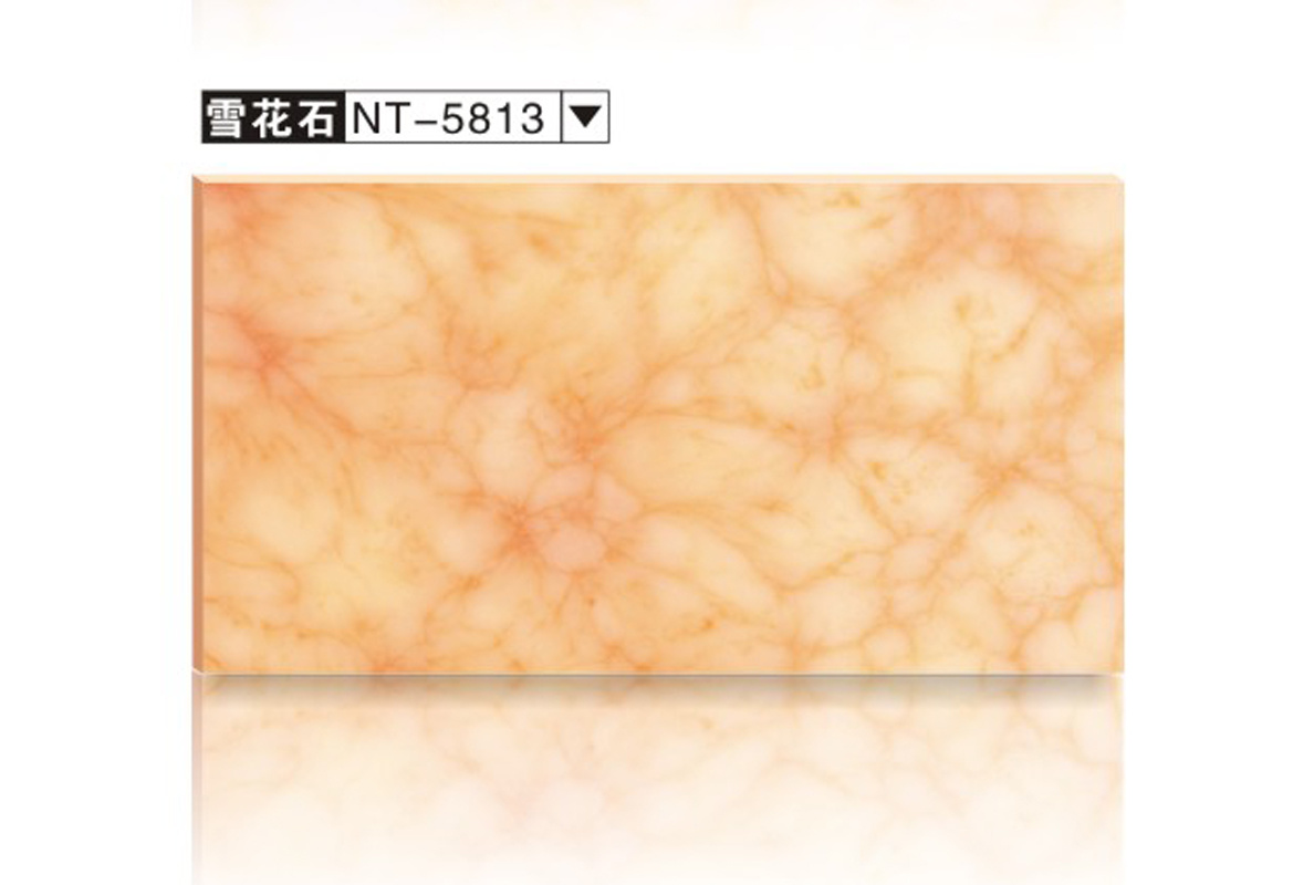 Solid Surface Material Polymer Stone Sheet (NT-5813)